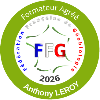 Badge Formateur Agréé 2026 de la Fédération Française de Géobiologie, Anthony Leroy